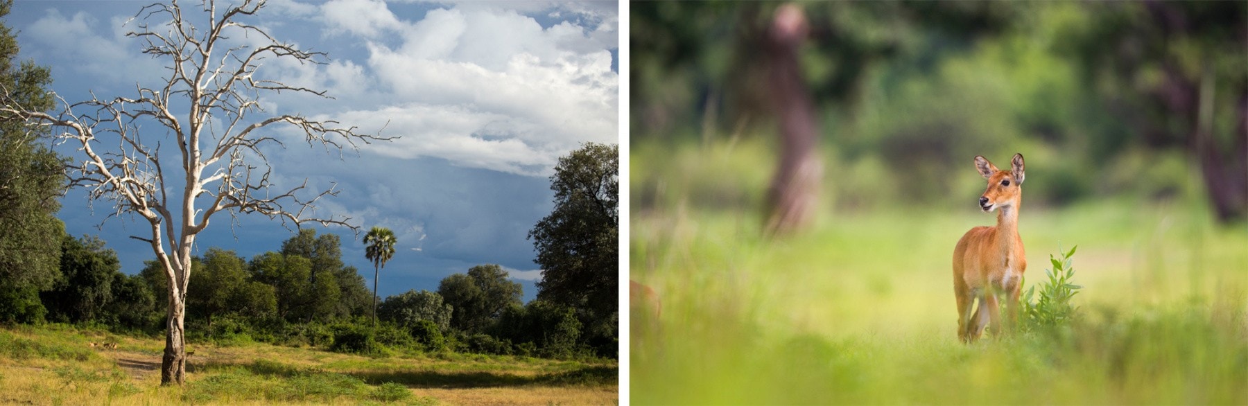 Perfect Photography Location