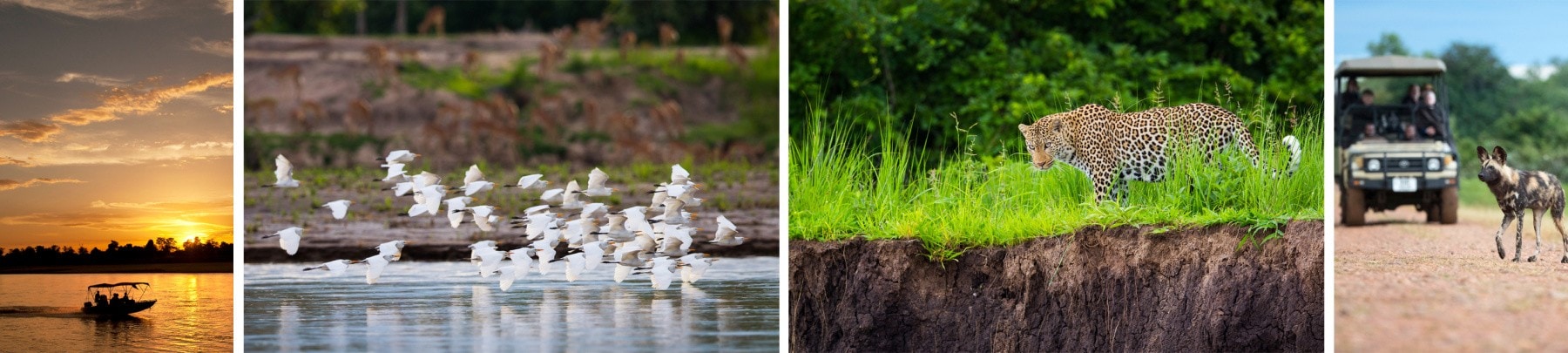 South Luangwa Experiences with Wildlife