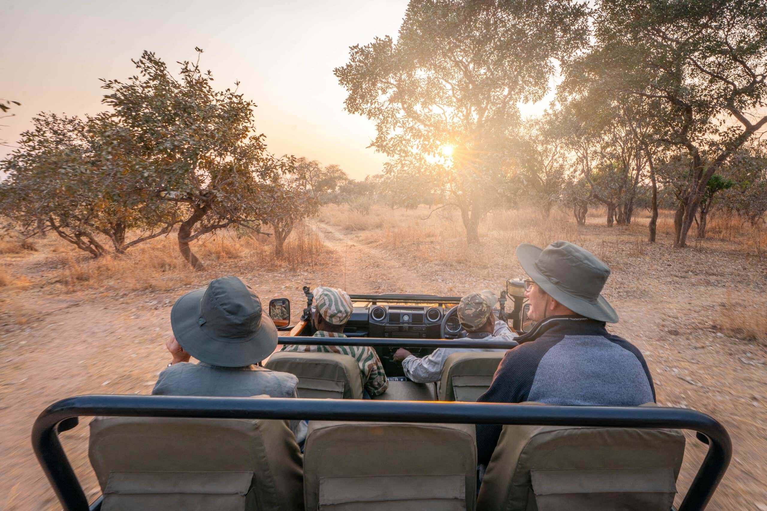 How to Have a Healthy(ish) Safari Vacation