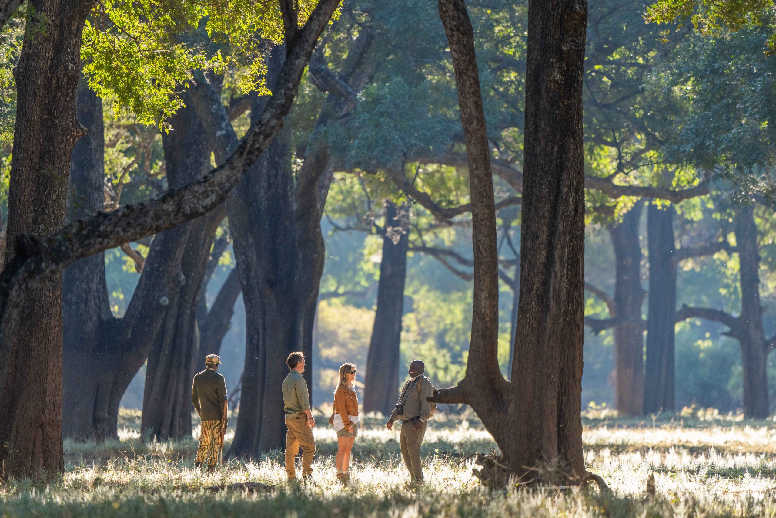 A Walk On The Wild Side In Zambia’s South Luangwa National Park