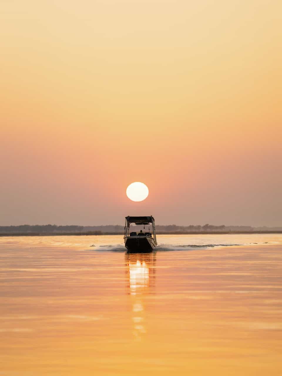 Boating on the Zambezi River at sunset
