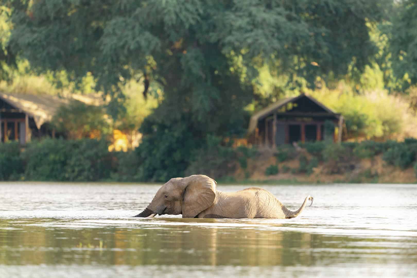 Canoeing_Safari_Chongwe_House_©_Oliver_Fly_Photography_23
