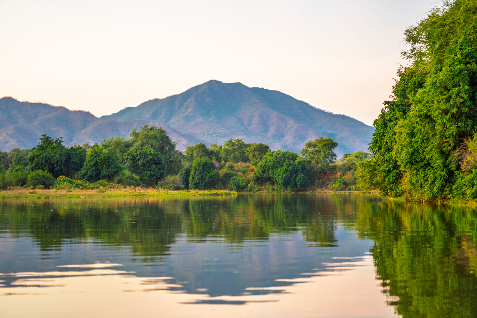 Game_Drive_Chongwe_House_©_Oliver_Fly_Photography_167