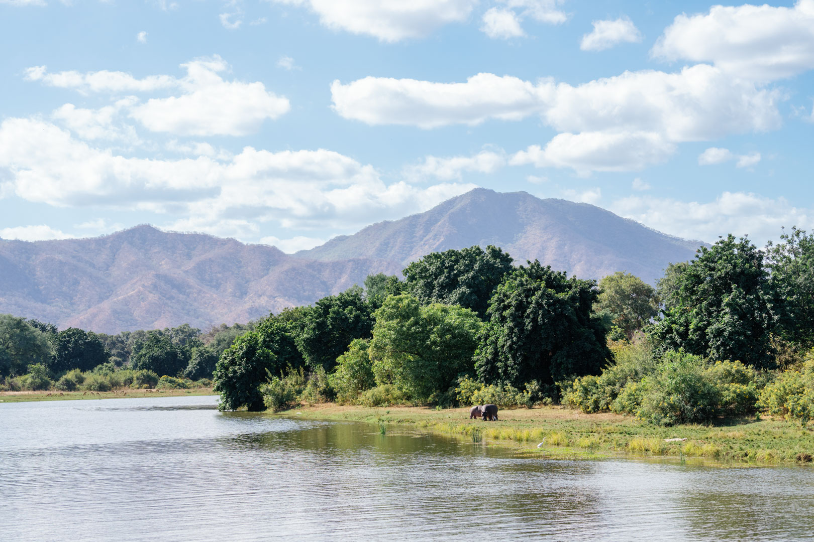 Game_Drive_Chongwe_House_©_Oliver_Fly_Photography_231