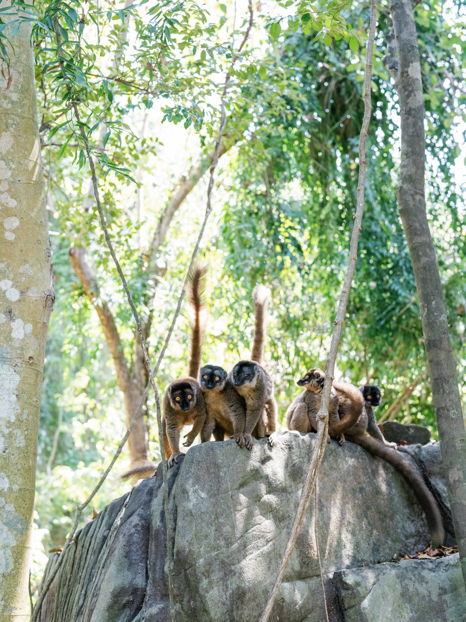 Nosy_Iranja_&_Lemur_Island_Tsara_Komba_©_Oliver_Fly_Photography_47