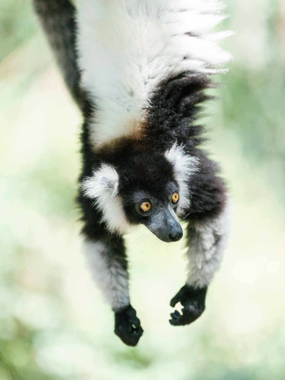 Nosy_Iranja_&_Lemur_Island_Tsara_Komba_©_Oliver_Fly_Photography_52