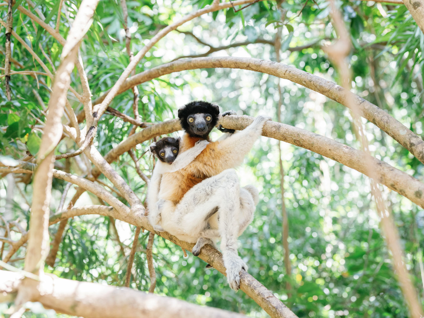 Nosy_Iranja_&_Lemur_Island_Tsara_Komba_©_Oliver_Fly_Photography_64