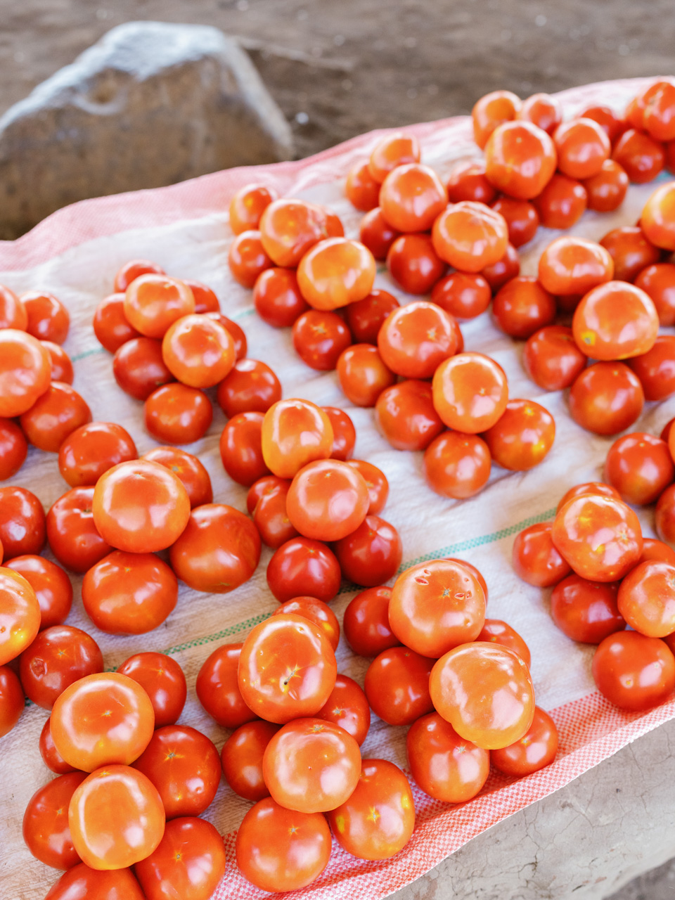 T&T_Foundation_Excursion_Chongwe_Time+Tide_©_Oliver_Fly_Photography_59