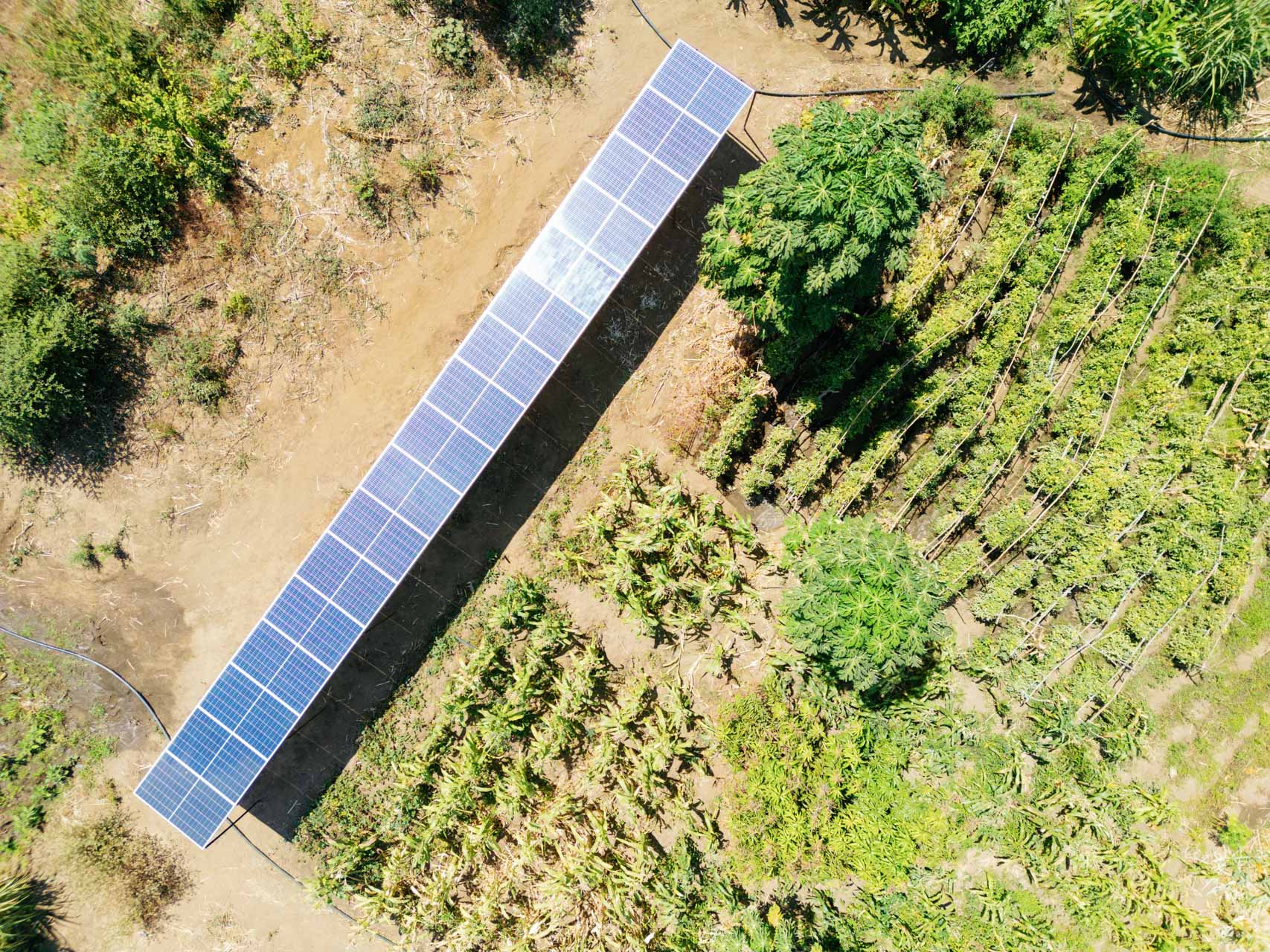 T&T_Foundation_Excursion_Chongwe_Time+Tide_©_Oliver_Fly_Photography_98