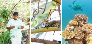 Conservation Work Time + Tide Foundation