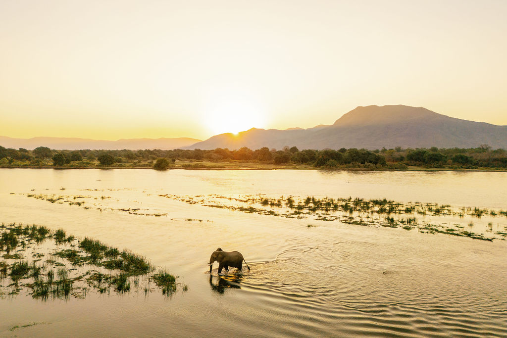 Safaris + Miavana: The best resorts in the world: 2025 Readers' Choice Awards